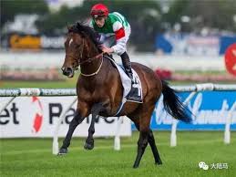 2025年5月8日香港賽馬新聞：Dreamx俱樂部開創數位賽馬新紀元 特色圖片
